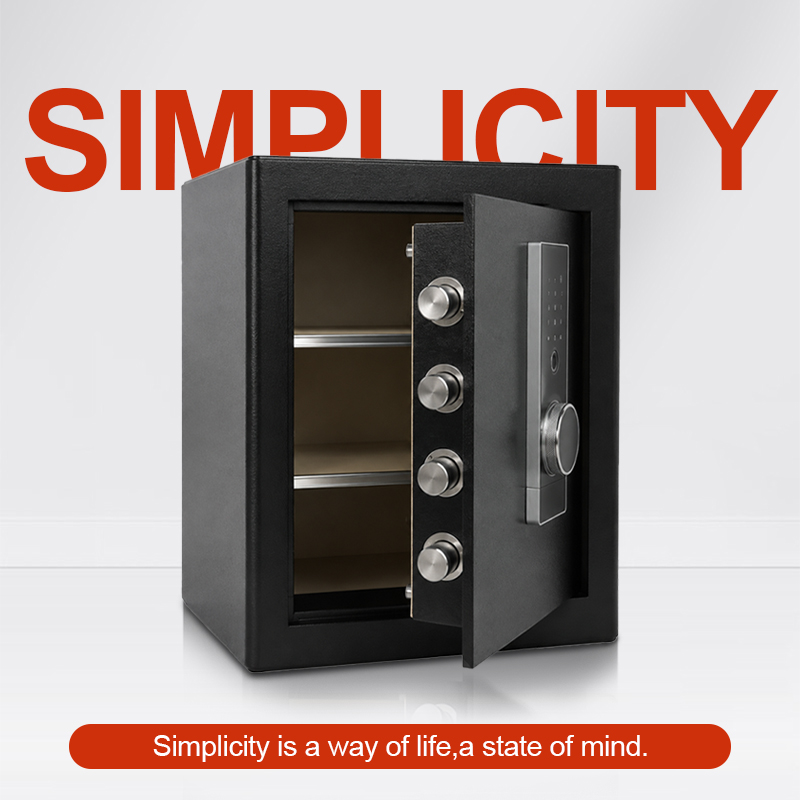 생체 인식 지문 금고, 디지털 키패드 보안 금고 (수동 - Home Security Box 리뷰 및 가격